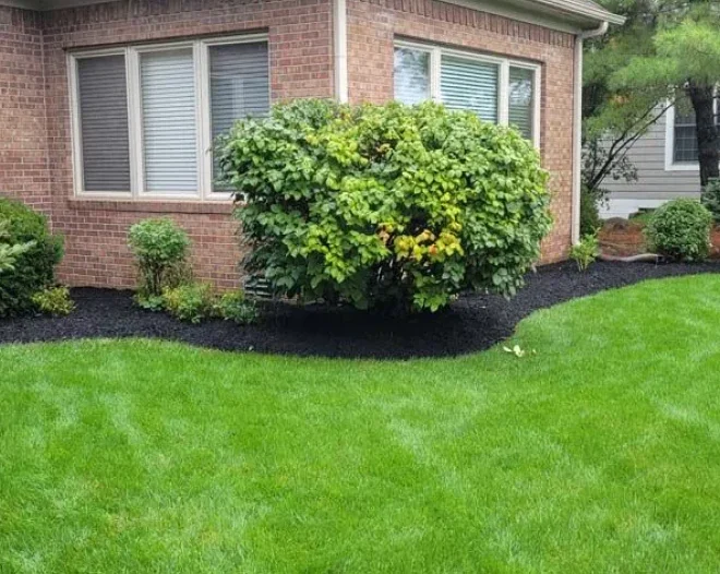 VMP Landscaping a